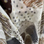 SJAAL | BEIGE