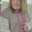 PS HOODIE 'STREPEN' | BRUIN